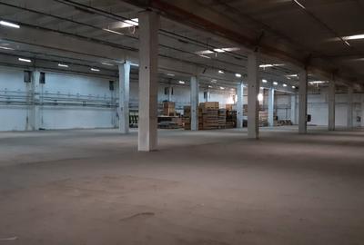 Spațiu industrial, 5000 mp în Depozite