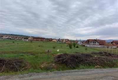 Teren Construcții intravilan de 4935 mp, în Periferie