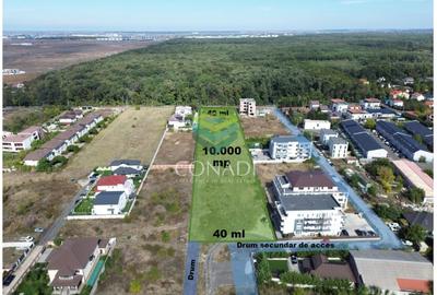 Teren - Voluntari - vis a vis de Padure - 10.000 mp - 3