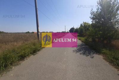 Teren pentru case in 1 Decembrie - 25