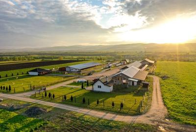 Ferma+Anexe specifice+ Constructie rezidentiala+222.000 mp domeniu - 1