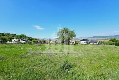 Teren intravilan | De vanzare | 3000 mp | 85 ml deschidere | Micesti - 3