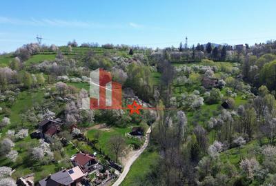 Teren 2500 mp Sohodol - 7