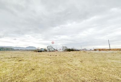 Teren Intravilan - Pretabil Constructie Industriala - 1