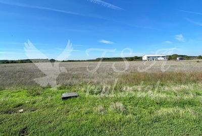 Teren Intravilan 825mp Cu dubla deschidere si Drum de servitute, Dascalu  Ilfov - 1