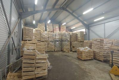 Spațiu industrial-depozit de 292mp de închiriat in Dumbraveni, SV - 5