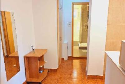 Apartament 2 Camere Tineretului,Piata Norilor,bl.1986,et.1/8,DECOMANDAT,Amenajat - 5