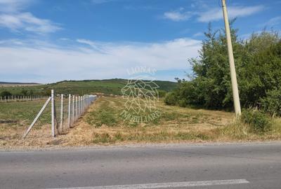 Teren intravilan 2700 mp cu uitlitati-Parcelabil-pretabil case-Jelna - 1