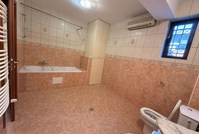Apartament superb Kiseleff - Ion Mincu - 10