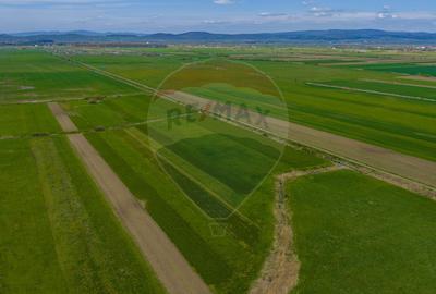 Teren EXTRAVILAN | 4,000mp Stupinii Prejmerului | COMISION 0% - 16