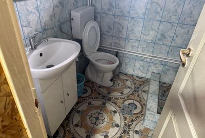Casă cu anexe de vânzare în Sat Roșiori, Comuna Vânători, jud. Mehedinți - 6