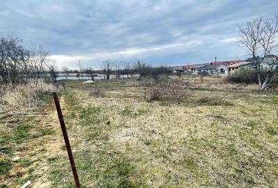 Teren Intravilan cu Front Dublu în Paleu - 2