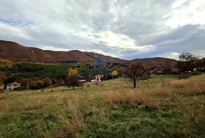 Parcele Teren cu PUZ si toate utilitatile / Cisnadioara-Sibiu - 11