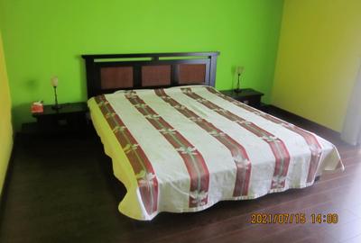 Casa duplex in Noua, P+E+M, 5 camere, 3 bai, mobilata si utilata, 499 mp teren! - 24