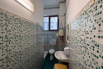Spatiu comercial de vanzare Ion Mihalache - 14