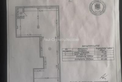 Spatiul Comercial| Calea Rhaovei| Pret negociabil| Orice domeniu - 4