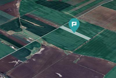 Teren agricol extravilan de 30000 mp, în Peciu Nou