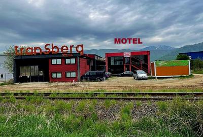 Hala Industriala, zona Ina Schaeffler , 530 mp utili - 10
