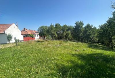 Teren Sohodol cu vedere catre M-tii Bucegi - 5