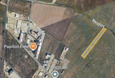 Teren 10.000 mp zona industriala Albota 10 euro mp -Arges - 2