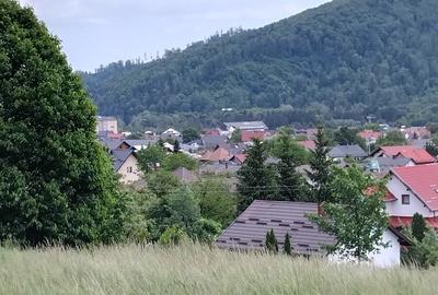 De vânzare o parcelă pentru casă sau cabană - 6