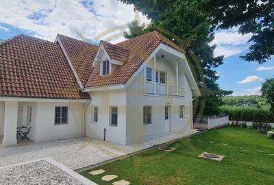 DOM00445 - Vila de poveste la lac cu ponton in Snagov - 3