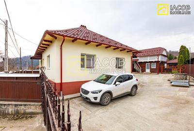 Casa, anexe, 3762 mp teren, 25000 mp padure, Comanesti, jud. Bacau - 19