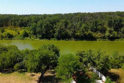 BRANESTI-VILA SUPERBISSIMA,LA LAC,PISCINA,FANTASTICA,UNICAT,700000 EURO - 20