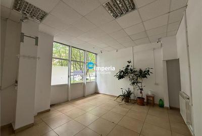 Spatiu de inchiriat,48 mp,stradal,sos Nicolina - 4