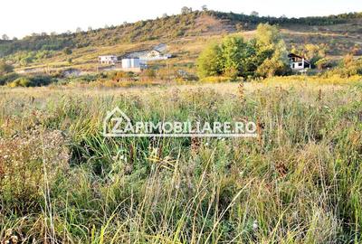 De vanzare 2 terenuri de 29.500 mp si 1.400 mp.29 euro mp - 7