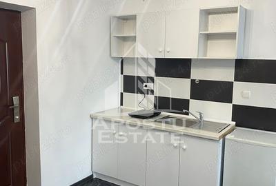 Apartament o camera tip studio de inchiriat,zona Brancoveanu Timisoara - 5