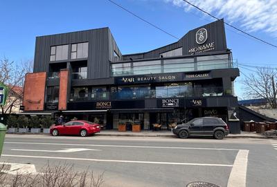 Spațiu comercial, de 175.00 mp, în Herăstrău