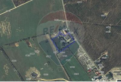 Spațiu industrial 15435 mp. de vânzare in Tinca. - 15