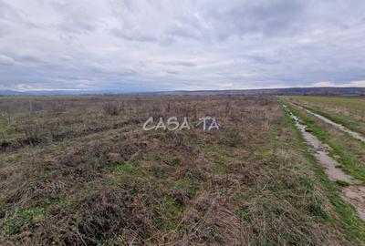 Teren Extravilan (5900 mp),situat in Targu-Jiu, Preajba-Dragoieni - 3