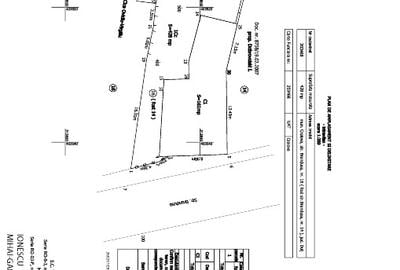 Casa mare si curte in centrul Craiovei - 6