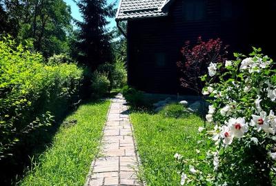 Casă de vacanță tip Chalet pe Valea Muresului - 9