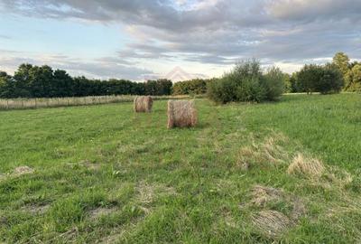 TEREN INTRAVILAN\699 mp, 45€ mp\ CARANSEBEȘ\ ZONA TEIUȘ - 2
