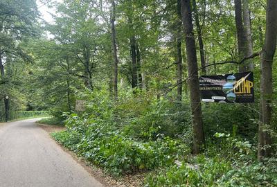 Teren intravilan de 4003 mp, în Snagov