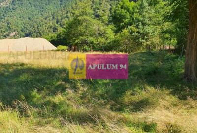 Teren Județul Vâlcea - Brezoi, Valea lui Stan - 27