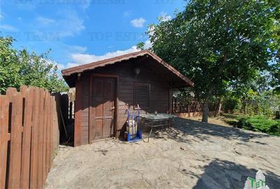 Casa individuala superba si teren generos Techirghiol - 19