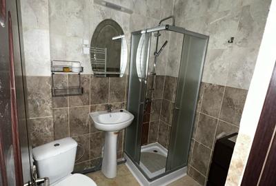 300euro, 2 camere open space, mobilat, CT, Valea Adanca Str Pepinierii - 4
