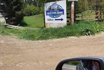 Vand teren 7800mp din care 3000 intravilan si 3800 mp padure - 3