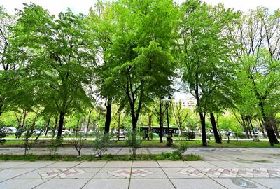 VANZARE Duplex 4 camere Bulevardul Unirii 12 - Fantani vedere panoramica Luminos - 11