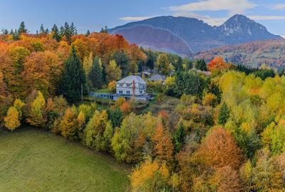 VILĂ 7 CAMERE| POIANA MĂRULUI| 2233MP TEREN| PRIVELIȘTE PANORAMICĂ - 3