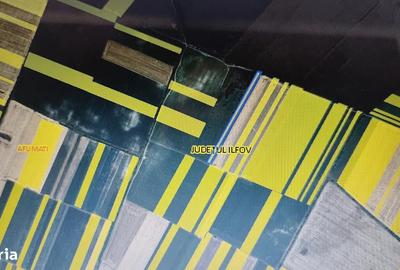 Teren agricol extravilan de 10000 mp, în Afumați