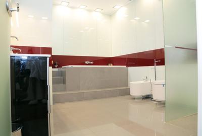 Penthouse exclusivist vedere parc Herastrau - 9