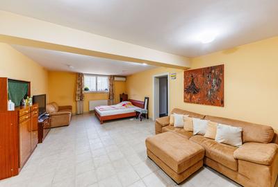 Vilă cu spatii largi, curte generoasă - 28