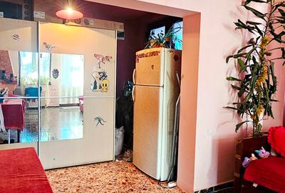 Casa individuala P+M,casa batraneasca locuibila si 805mp teren,Savinesti - 10