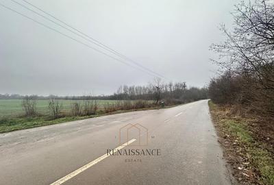 Giroc Teren 30.000mp PUZ APROBAT Pentru Case | Asfalt - Langa Padure - 1