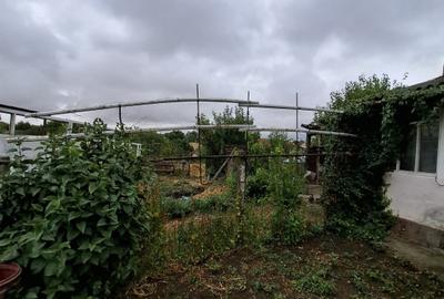 Giarmata Mare - Teren Constructii Case - 3